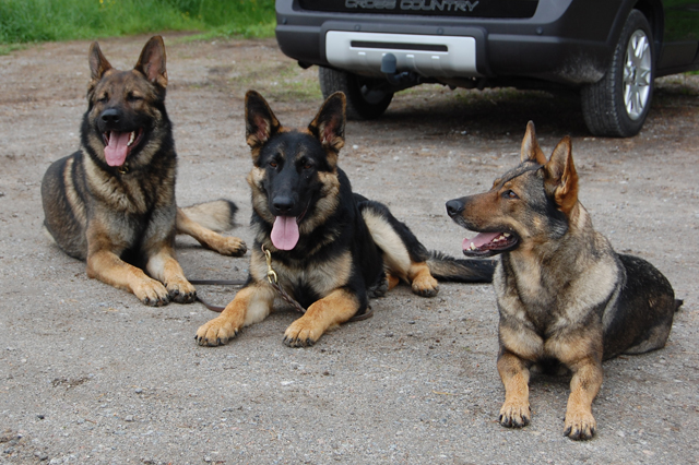 Spm Garion, Spm Rapp & Köttorps Iza